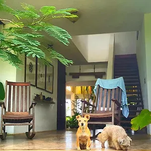 Hotel El Hotelito At The Rainforest Experience Farm, Fajardo